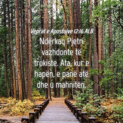 Picture 04 - Veprat e Apostujve 12:16 ALB - Ndërkaq Pjetri vazhdonte të trokiste. Ata, kur - Bible Verse Picture