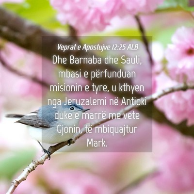Picture 04 - Veprat e Apostujve 12:25 ALB - Dhe Barnaba dhe Sauli, mbasi e përfunduan - Bible Verse Picture