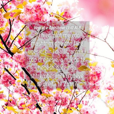 Picture 04 - Veprat e Apostujve 13:10 ALB - “O njeri plot me çdo mashtrim dhe çdo farë - Bible Verse Picture