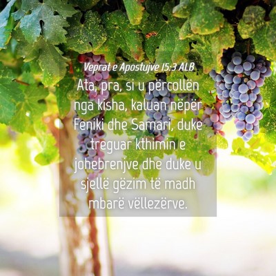 Picture 04 - Veprat e Apostujve 15:3 ALB - Ata, pra, si u përcollën nga kisha, kaluan - Bible Verse Picture