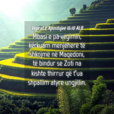 Picture 04 - Veprat e Apostujve 16:10 ALB - Mbasi e pa vegimin, kërkuam menjëherë të - Bible Verse Picture