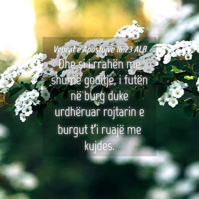 Picture 04 - Veprat e Apostujve 16:23 ALB - Dhe si i rrahën me shumë goditje, i futën në - Bible Verse Picture