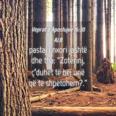 Picture 04 - Veprat e Apostujve 16:30 ALB - pastaj i nxori jashtë dhe tha: “Zotërinj, - Bible Verse Picture