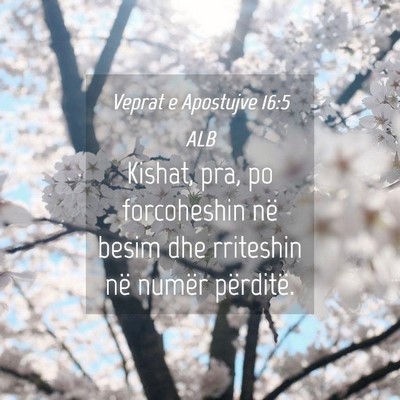 Picture 04 - Veprat e Apostujve 16:5 ALB - Kishat, pra, po forcoheshin në besim dhe - Bible Verse Picture