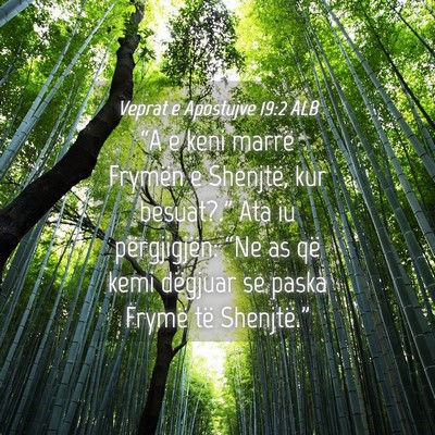 Picture 04 - Veprat e Apostujve 19:2 ALB - “A e keni marrë Frymën e Shenjtë, kur - Bible Verse Picture