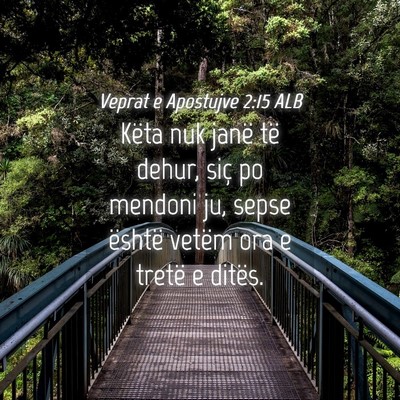 Picture 04 - Veprat e Apostujve 2:15 ALB - Këta nuk janë të dehur, siç po mendoni ju, - Bible Verse Picture