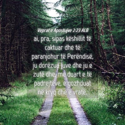 Picture 04 - Veprat e Apostujve 2:23 ALB - ai, pra, sipas këshillit të caktuar dhe të - Bible Verse Picture