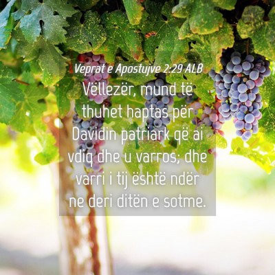 Picture 04 - Veprat e Apostujve 2:29 ALB - Vëllezër, mund të thuhet haptas për Davidin - Bible Verse Picture