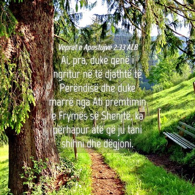 Picture 04 - Veprat e Apostujve 2:33 ALB - Ai, pra, duke qenë i ngritur në të djathtë - Bible Verse Picture