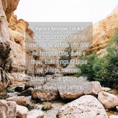 Picture 04 - Veprat e Apostujve 2:46 ALB - Dhe ngulmonin me një mendje të vetme çdo ditë - Bible Verse Picture