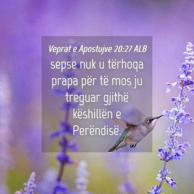 Picture 04 - Veprat e Apostujve 20:27 ALB - sepse nuk u tërhoqa prapa për të mos ju - Bible Verse Picture