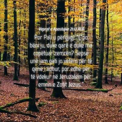 Picture 04 - Veprat e Apostujve 21:13 ALB - Por Pali u përgjigj: “Ç’po bëni ju, duke - Bible Verse Picture