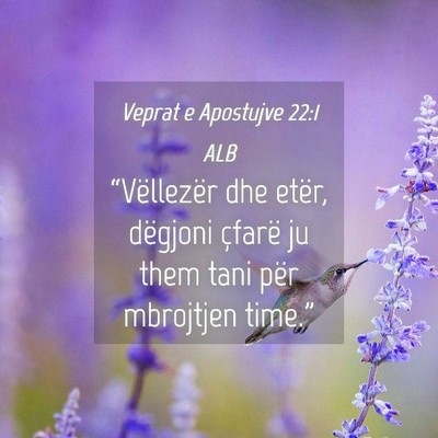Picture 04 - Veprat e Apostujve 22:1 ALB - “Vëllezër dhe etër, dëgjoni çfarë ju them - Bible Verse Picture
