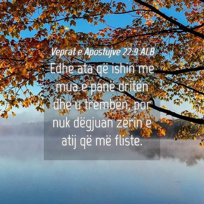 Picture 04 - Veprat e Apostujve 22:9 ALB - Edhe ata që ishin me mua e panë dritën dhe u - Bible Verse Picture