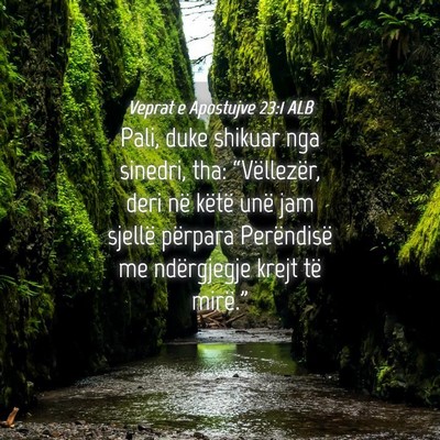 Picture 04 - Veprat e Apostujve 23:1 ALB - Pali, duke shikuar nga sinedri, tha: - Bible Verse Picture
