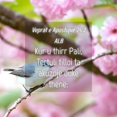 Picture 04 - Veprat e Apostujve 24:2 ALB - Kur u thirr Pali, Tertuli filloi ta akuzojë duke - Bible Verse Picture