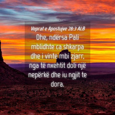 Picture 04 - Veprat e Apostujve 28:3 ALB - Dhe, ndërsa Pali mblidhte ca shkarpa dhe i vinte - Bible Verse Picture