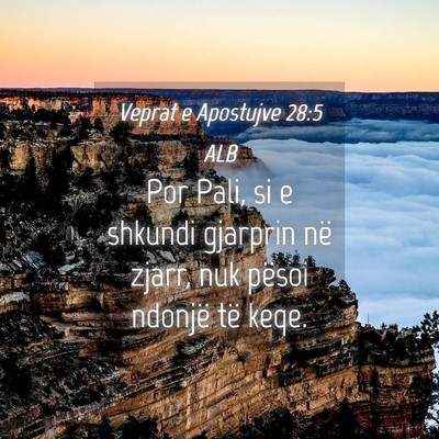 Picture 04 - Veprat e Apostujve 28:5 ALB - Por Pali, si e shkundi gjarprin në zjarr, nuk - Bible Verse Picture