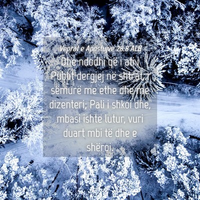 Picture 04 - Veprat e Apostujve 28:8 ALB - Dhe ndodhi që i ati i Publit dergjej në shtrat, - Bible Verse Picture