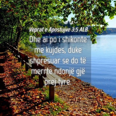 Picture 04 - Veprat e Apostujve 3:5 ALB - Dhe ai po i shikonte me kujdes, duke shpresuar se - Bible Verse Picture