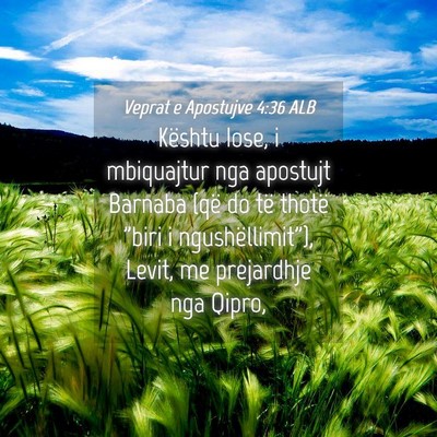 Picture 04 - Veprat e Apostujve 4:36 ALB - Kështu Iose, i mbiquajtur nga apostujt Barnaba - Bible Verse Picture