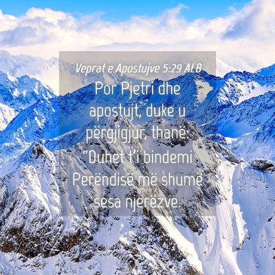 Picture 04 - Veprat e Apostujve 5:29 ALB - Por Pjetri dhe apostujt, duke u përgjigjur, - Bible Verse Picture