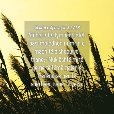 Picture 04 - Veprat e Apostujve 6:2 ALB - Atëherë të dymbëdhjetët, pasi mblodhën - Bible Verse Picture