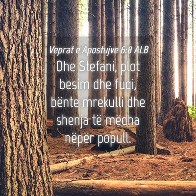 Picture 04 - Veprat e Apostujve 6:8 ALB - Dhe Stefani, plot besim dhe fuqi, bënte mrekulli - Bible Verse Picture
