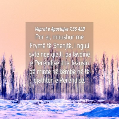 Picture 04 - Veprat e Apostujve 7:55 ALB - Por ai, mbushur me Frymë të Shenjtë, i nguli - Bible Verse Picture