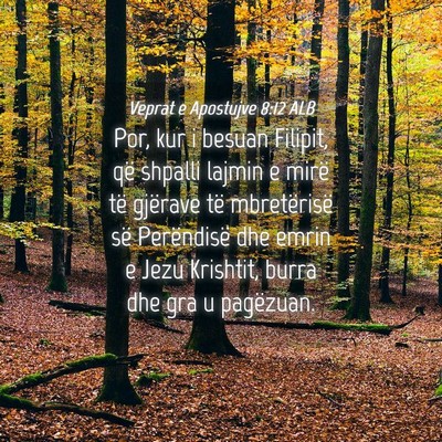 Picture 04 - Veprat e Apostujve 8:12 ALB - Por, kur i besuan Filipit, që shpalli lajmin e - Bible Verse Picture