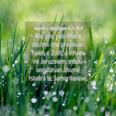 Picture 04 - Veprat e Apostujve 8:25 ALB - Ata, pra, pasi dhanë dëshmi dhe predikuan - Bible Verse Picture