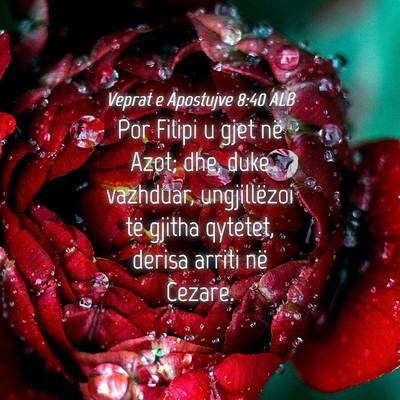 Picture 04 - Veprat e Apostujve 8:40 ALB - Por Filipi u gjet në Azot; dhe, duke vazhduar, - Bible Verse Picture