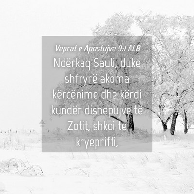 Picture 04 - Veprat e Apostujve 9:1 ALB - Ndërkaq Sauli, duke shfryrë akoma kërcënime - Bible Verse Picture