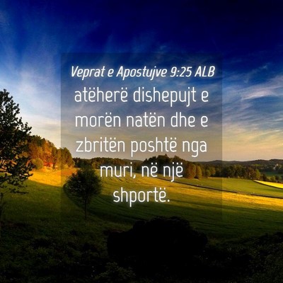 Picture 04 - Veprat e Apostujve 9:25 ALB - atëherë dishepujt e morën natën dhe e - Bible Verse Picture