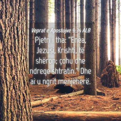 Picture 04 - Veprat e Apostujve 9:34 ALB - Pjetri i tha: “Enea, Jezusi, Krishti, të - Bible Verse Picture