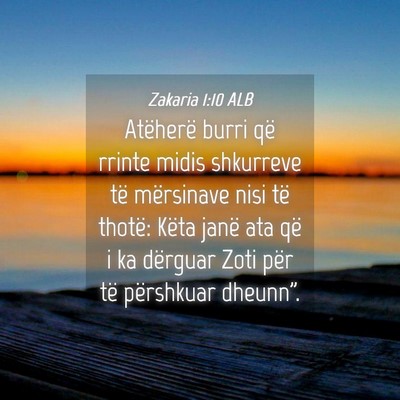 Picture 04 - Zakaria 1:10 ALB - Atëherë burri që rrinte midis shkurreve të - Bible Verse Picture