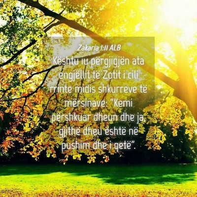 Picture 04 - Zakaria 1:11 ALB - Kështu iu përgjigjën ata engjëllit të Zotit - Bible Verse Picture
