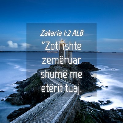 Picture 04 - Zakaria 1:2 ALB - 