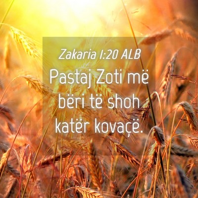 Picture 04 - Zakaria 1:20 ALB - Pastaj Zoti më bëri të shoh katër - Bible Verse Picture