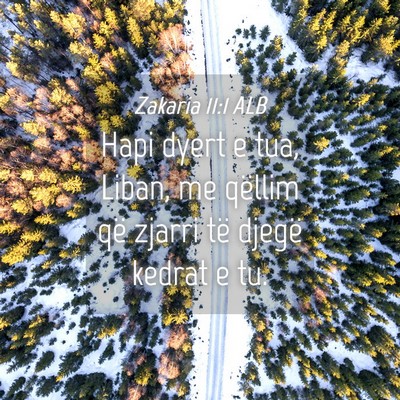 Picture 04 - Zakaria 11:1 ALB - Hapi dyert e tua, Liban, me qëllim që zjarri - Bible Verse Picture