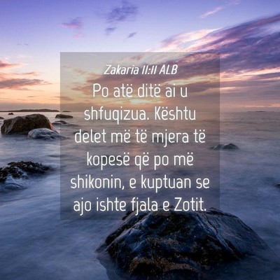 Picture 04 - Zakaria 11:11 ALB - Po atë ditë ai u shfuqizua. Kështu delet më - Bible Verse Picture