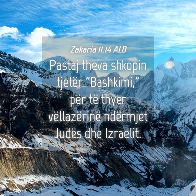 Picture 04 - Zakaria 11:14 ALB - Pastaj theva shkopin tjetër 