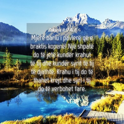 Picture 04 - Zakaria 11:17 ALB - Mjerë bariu i pavlerë që e braktis kopenë! - Bible Verse Picture