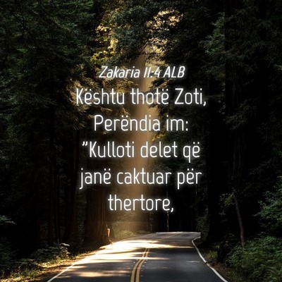 Picture 04 - Zakaria 11:4 ALB - Kështu thotë Zoti, Perëndia im: 