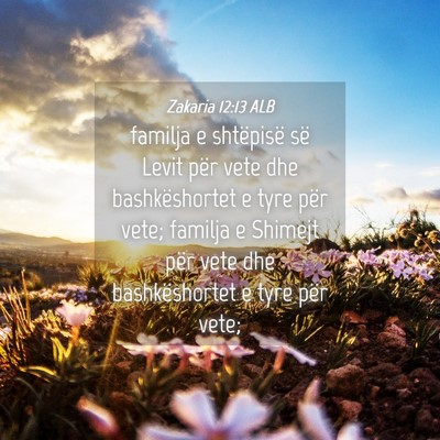 Picture 04 - Zakaria 12:13 ALB - familja e shtëpisë së Levit për vete dhe - Bible Verse Picture