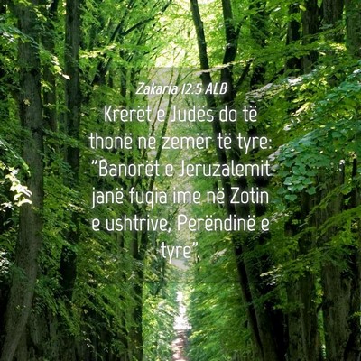 Picture 04 - Zakaria 12:5 ALB - Krerët e Judës do të thonë në zemër të - Bible Verse Picture