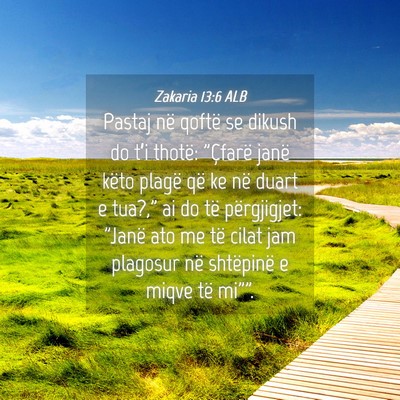 Picture 04 - Zakaria 13:6 ALB - Pastaj në qoftë se dikush do t’i thotë: - Bible Verse Picture