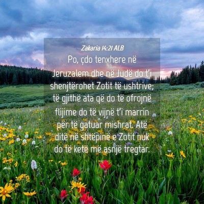 Picture 04 - Zakaria 14:21 ALB - Po, çdo tenxhere në Jeruzalem dhe në Judë do - Bible Verse Picture