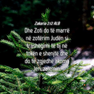 Picture 04 - Zakaria 2:12 ALB - Dhe Zoti do të marrë në zotërim Judën si - Bible Verse Picture