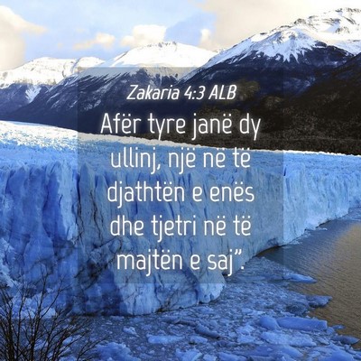 Picture 04 - Zakaria 4:3 ALB - Afër tyre janë dy ullinj, një në të - Bible Verse Picture